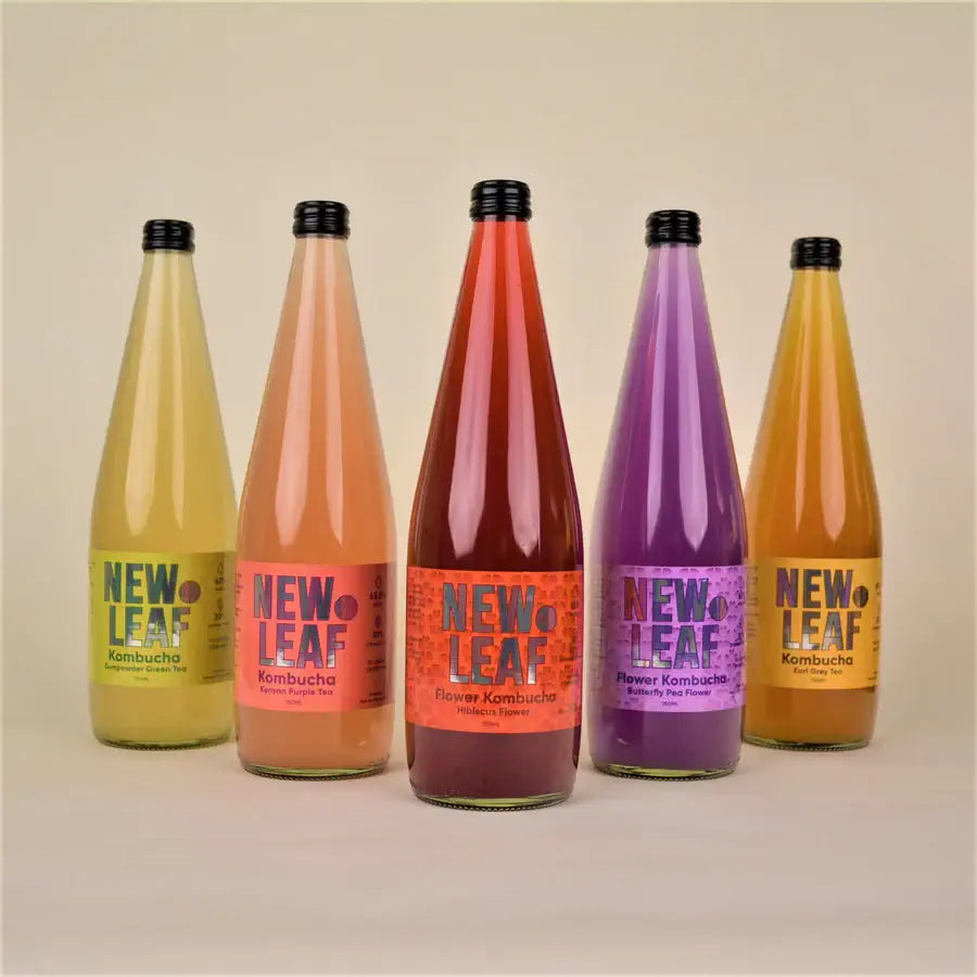 Kombucha Tasting 3Pack New Leaf Kombucha